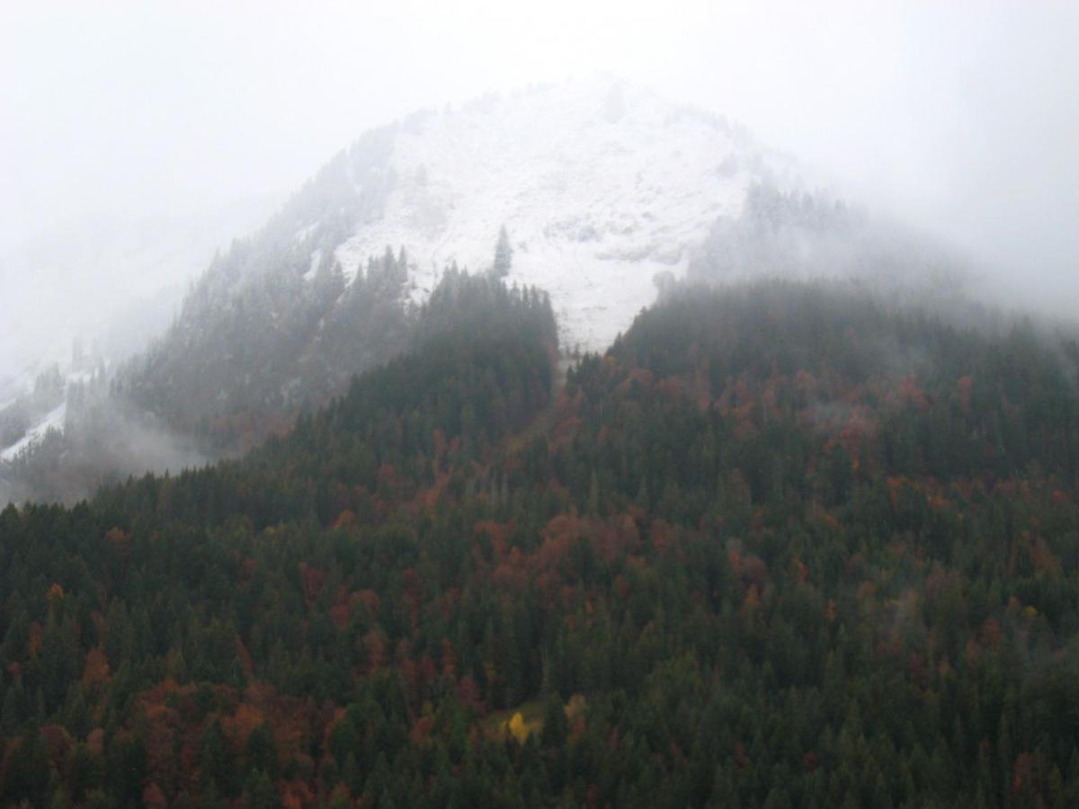 Appartement Au Pied Des Pistes, Avec Vue Sur La Montagne Bernex Exteriér fotografie